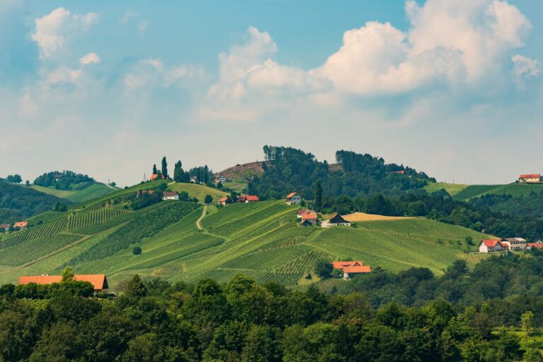 Austria Vineyards Leibnitz area south Styria travel spot