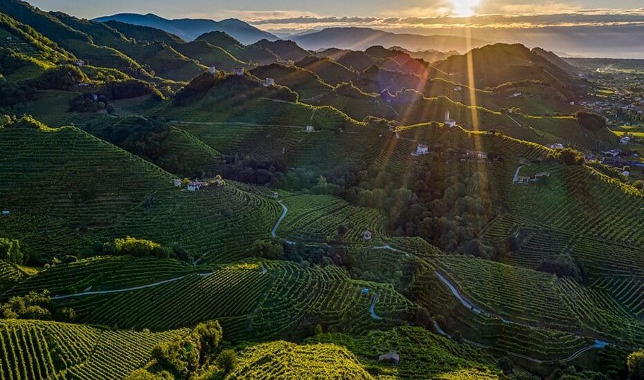 Viinimatka Italia, Veneto Prosecco & Amarone