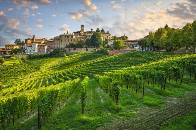 Neive village and Langhe vineyards, Piedmont, Italy Europe.