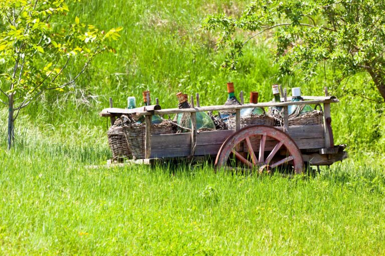 Old Rustic wagon with wine bottles