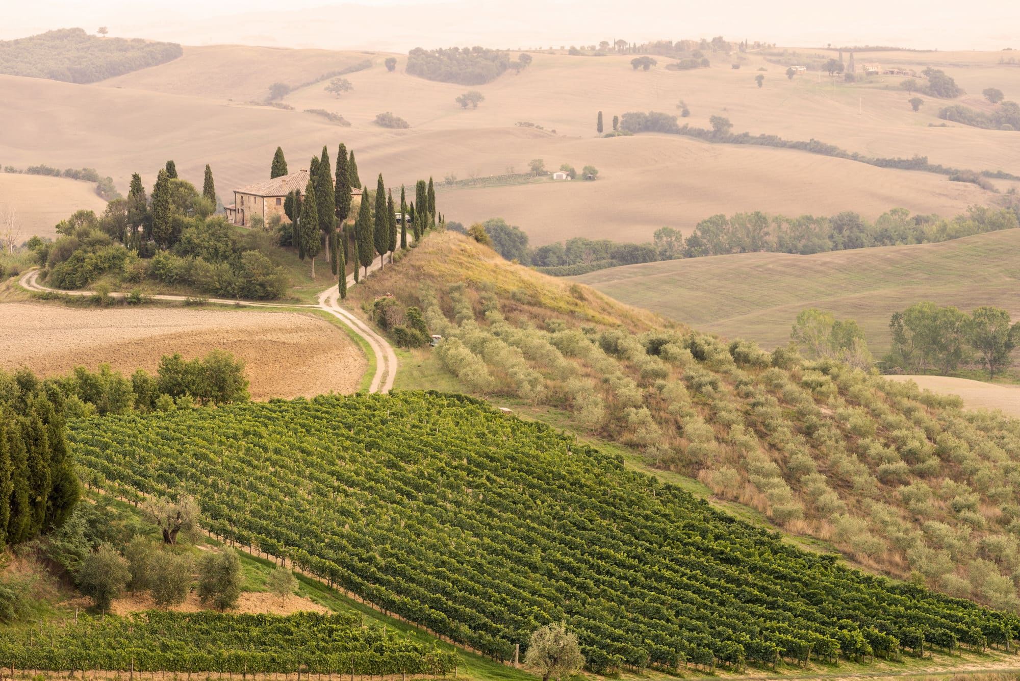 Toscana viinimatka