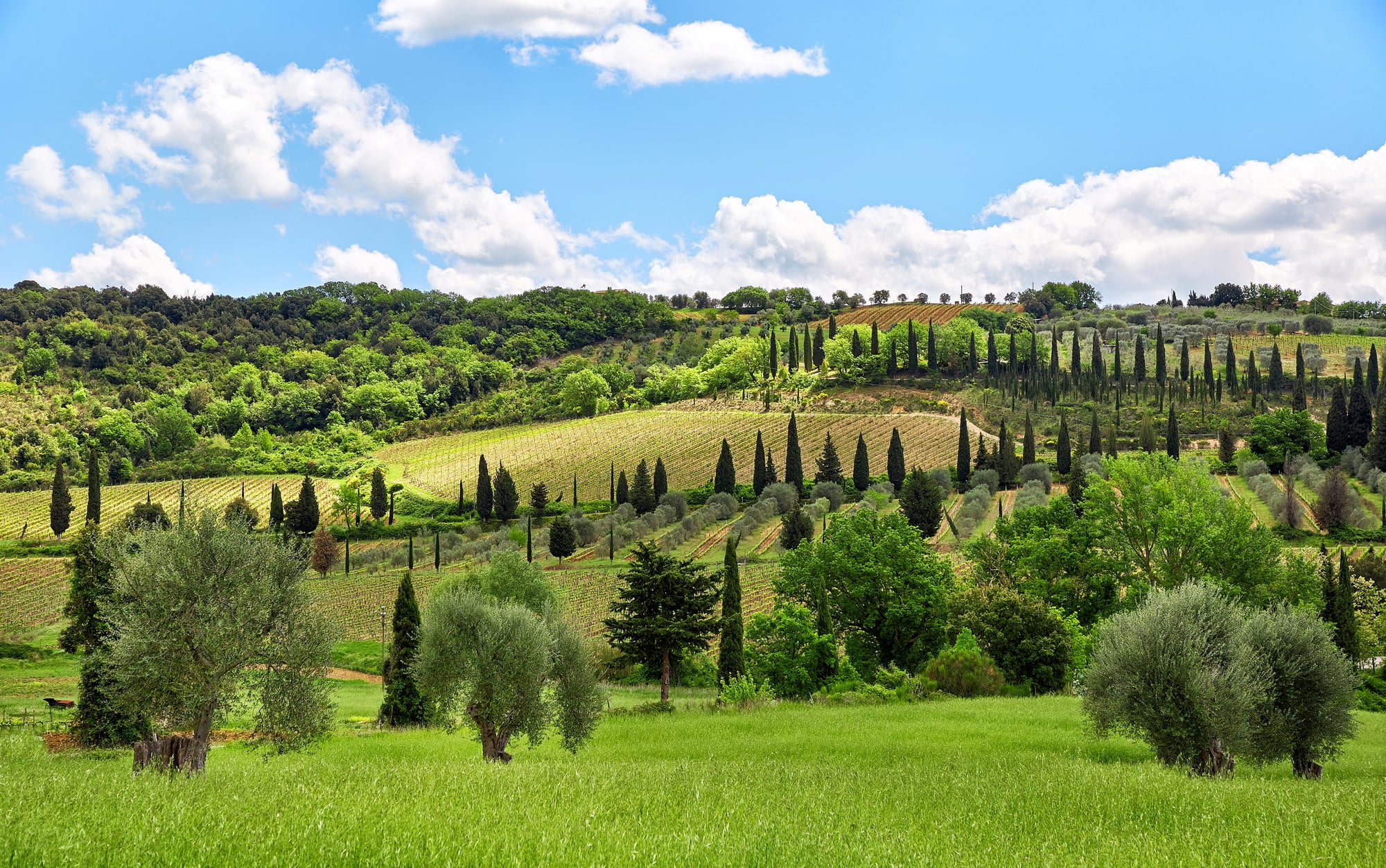 Toscana viinimatka