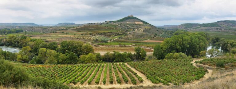 Vineyards and Davalillo castle, La Rioja (Spain)