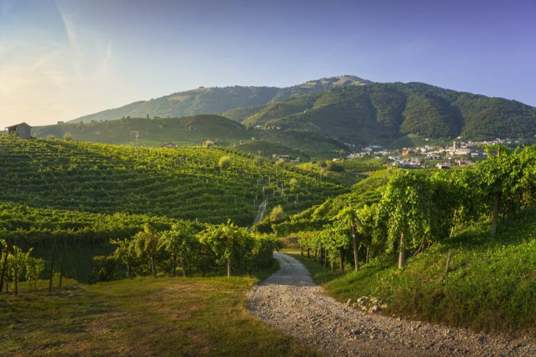 Vineyards and road. Prosecco Hills, Unesco Site. Valdobbiadene,
