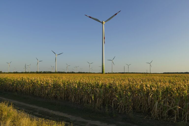 Neusiedl am See,Austria,Wind turbines in rural field