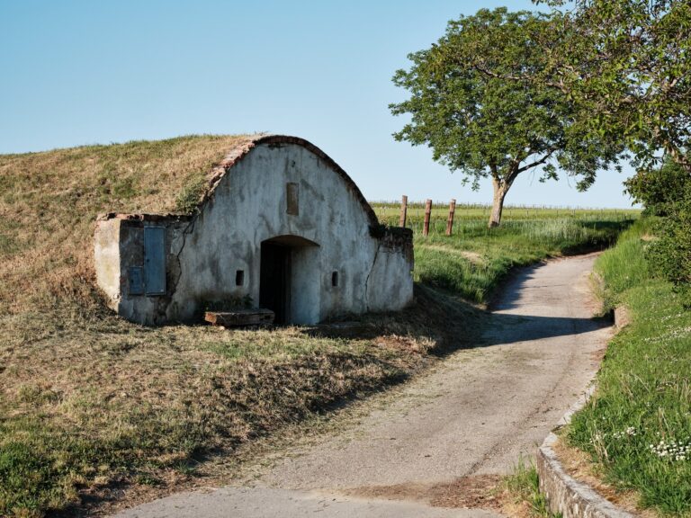 wonderful-wine-cellar-in-prellenkirchen-austria-2022-11-04-00-17-42-utc