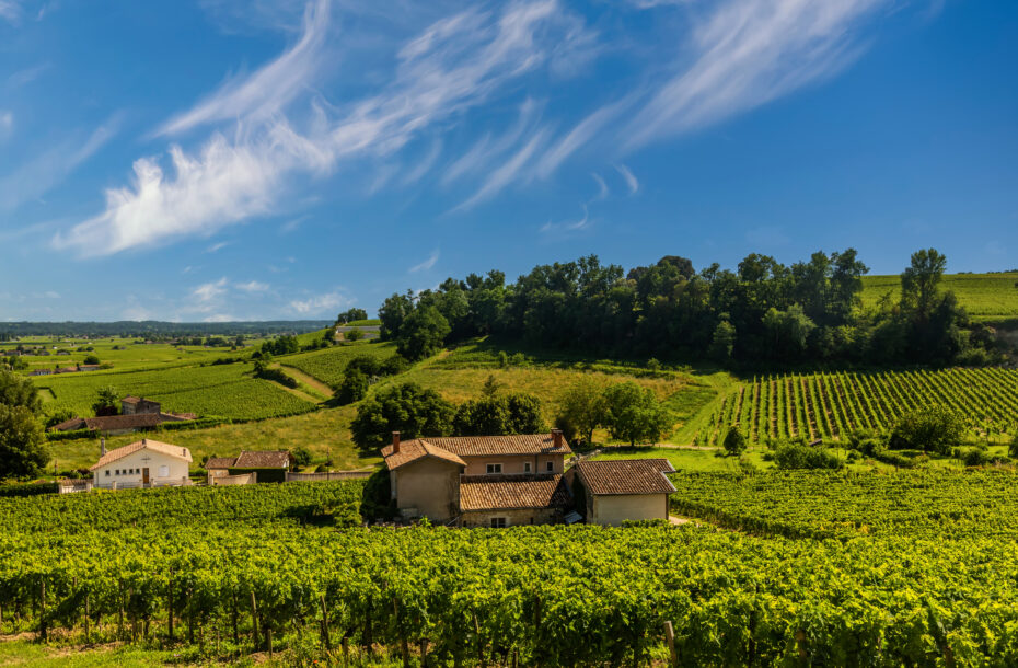 Viinimatka Ranska, Champagne & Chablis