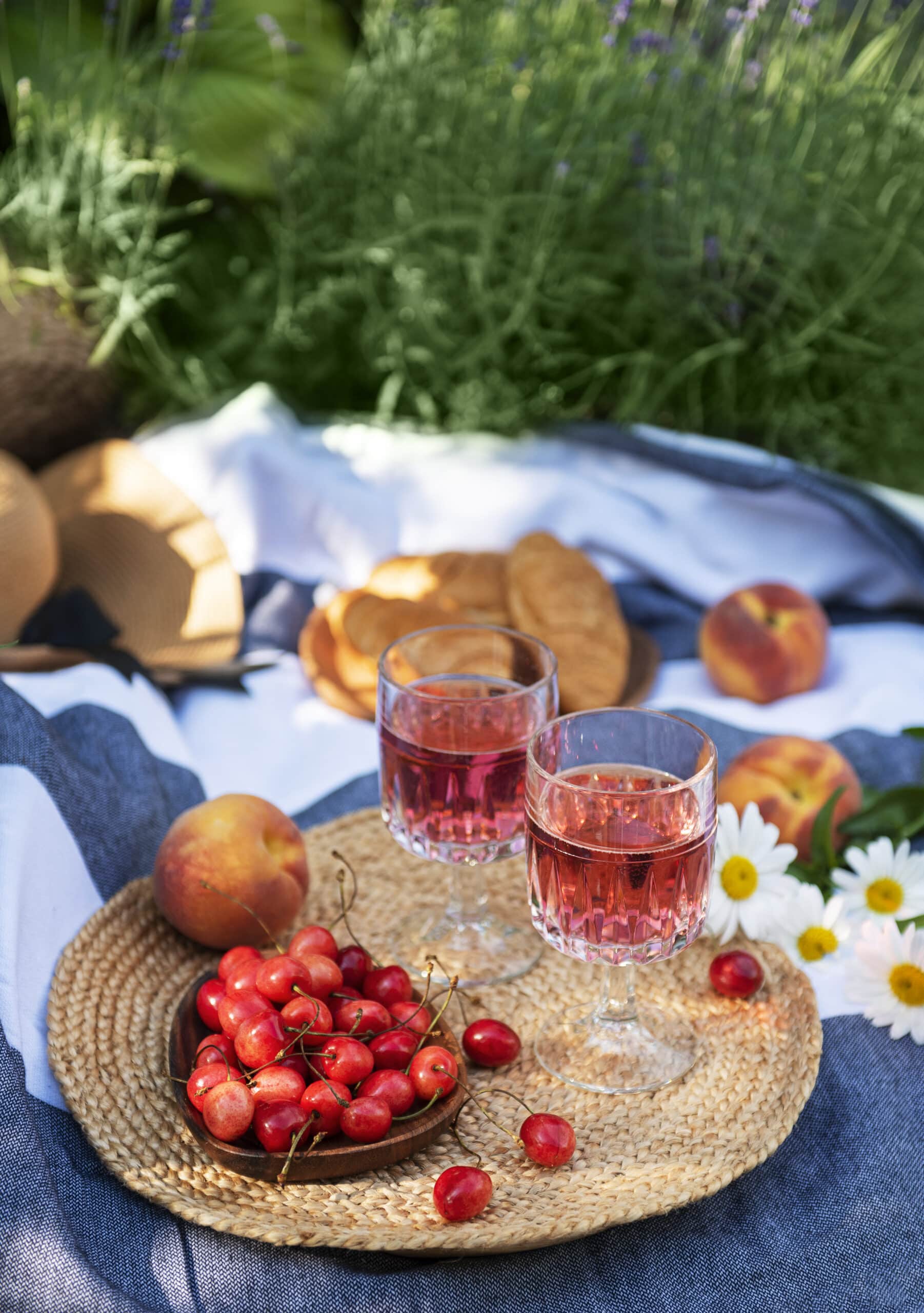Viinimatka Provence