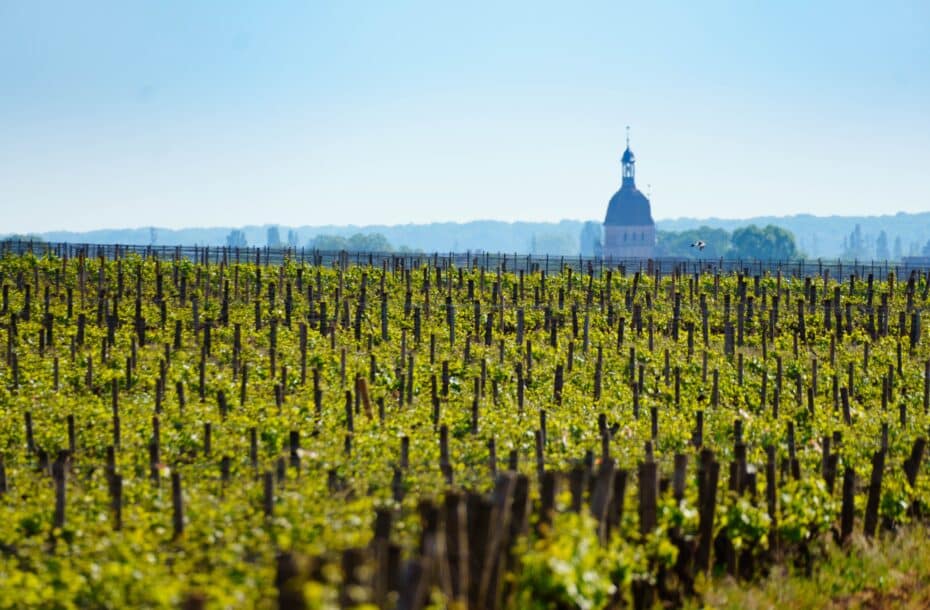 Viinimatka Burgundi, Ranska