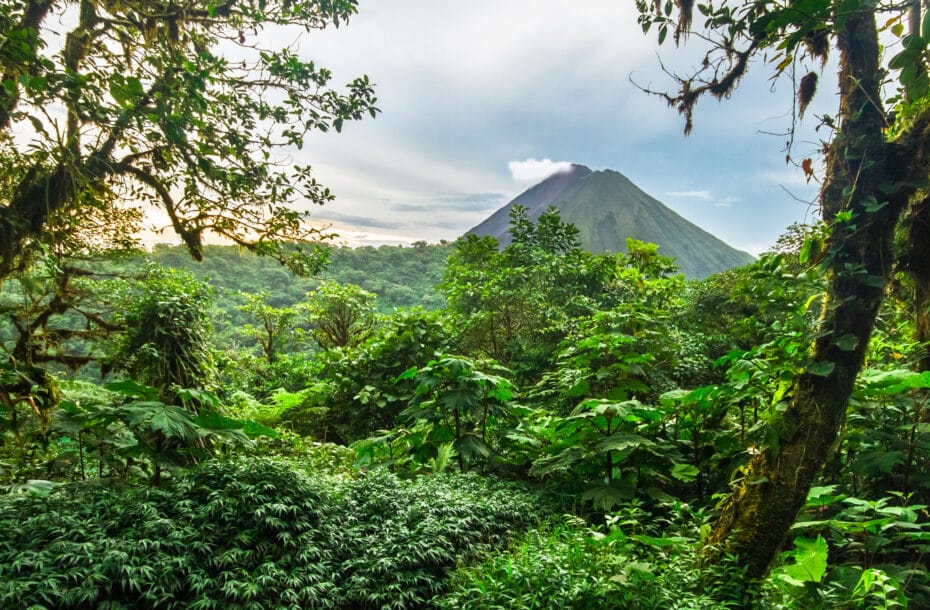 Uutuus! Costa Rica