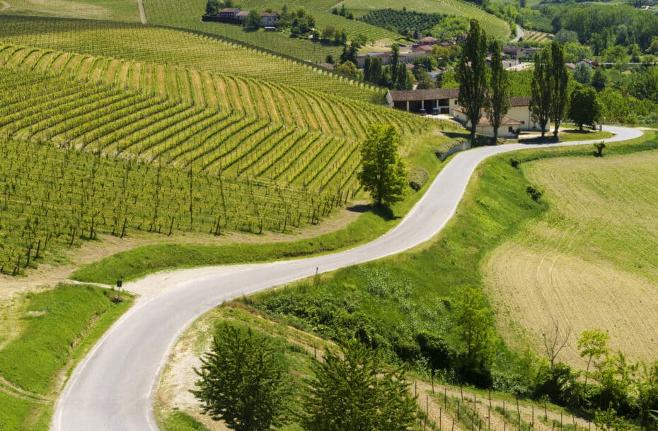 Viini-tryffelimatka Piemonte, Italia