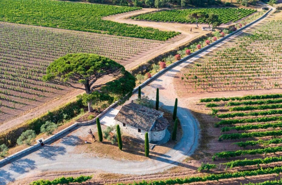 Häät viinitilalla Clos des Roses, Etelä-Ranska