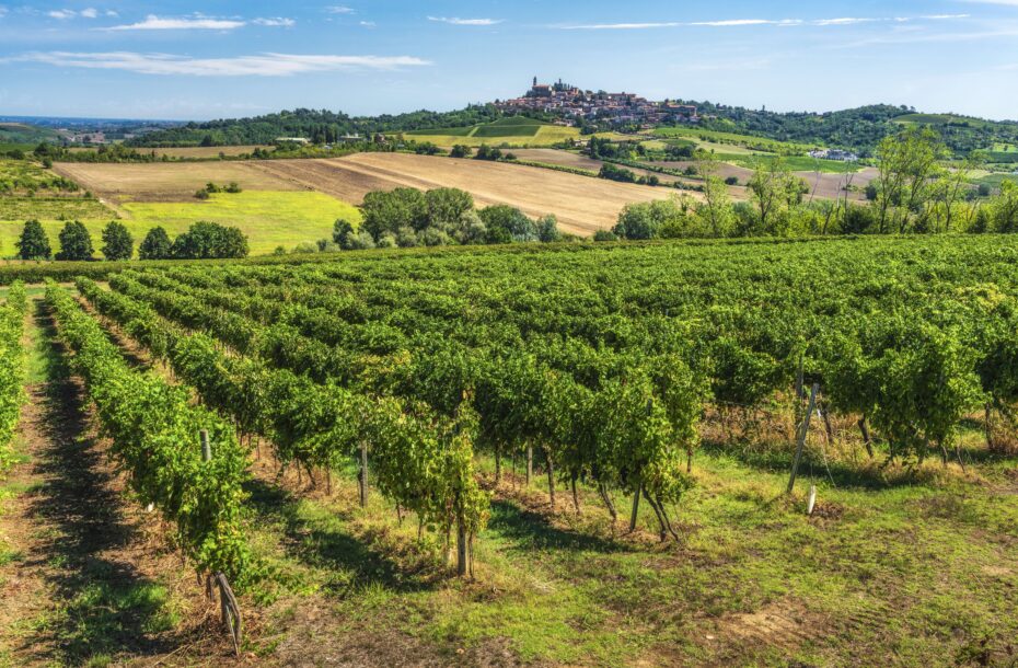 Viinimatka Piemonte
