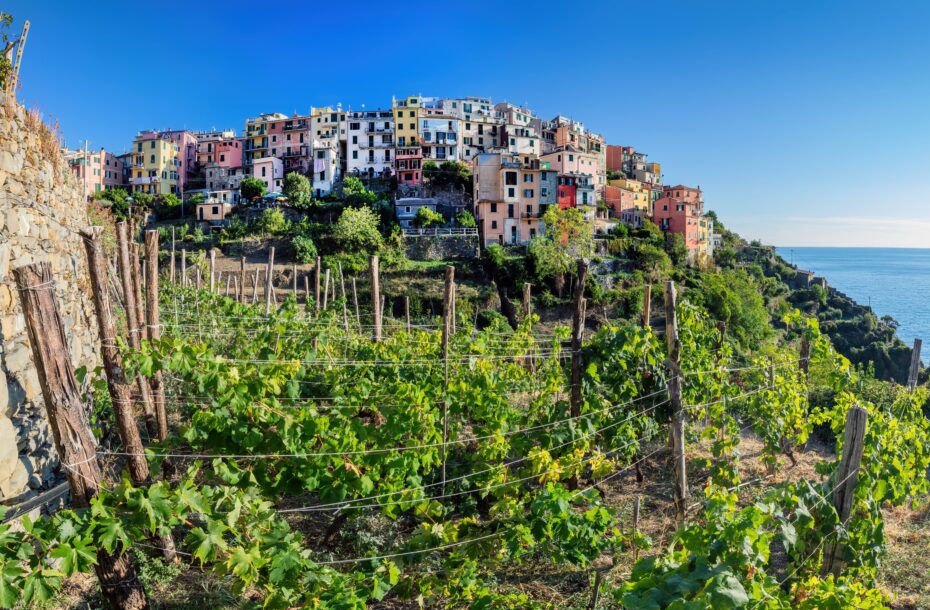 UUTUUS! Viini-ruokamatka Liguria, Portofino-Cinque Terre, Italia